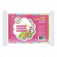 Губки для посуды Optima MAXI, 98 х 65 х 31 мм, 5 шт, Россия Elfe Губки для посуды Optima MAXI, 98 х 65 х 31 мм, 5 шт, Россия Elfe